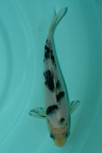 20111120 208-200.jpg